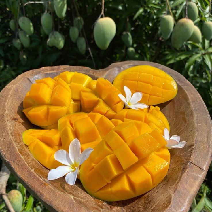 Orchard Essence: Sun-Kissed Fruit Selection